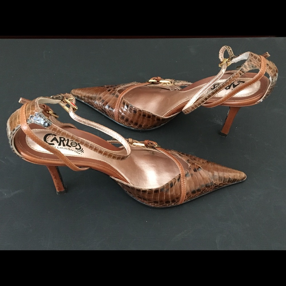 Carlos Santana Snake Skin Shoes